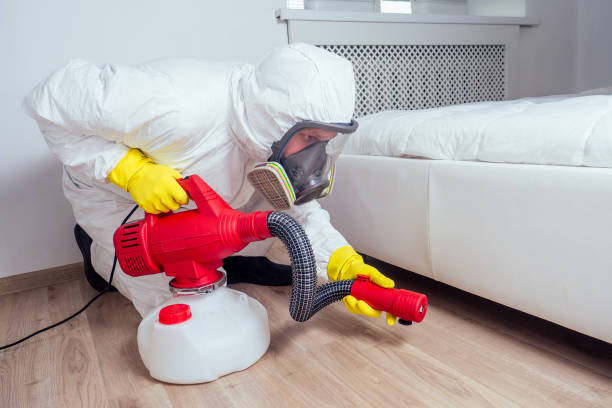 Best Wasp Removal Services  in Montauk, NY