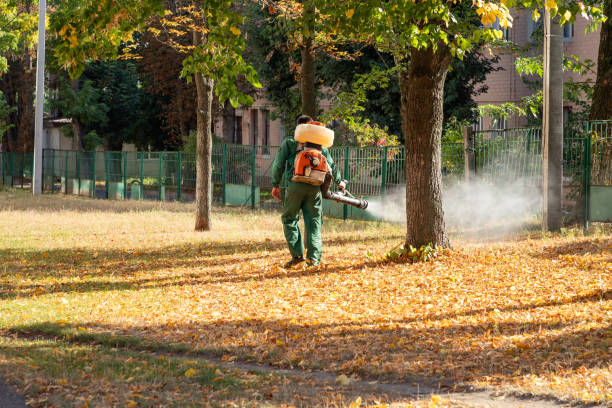 Pest Prevention Services in Montauk, NY